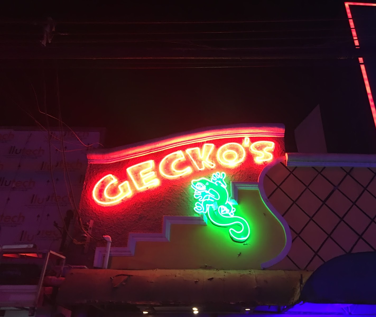 게코스 바 사진