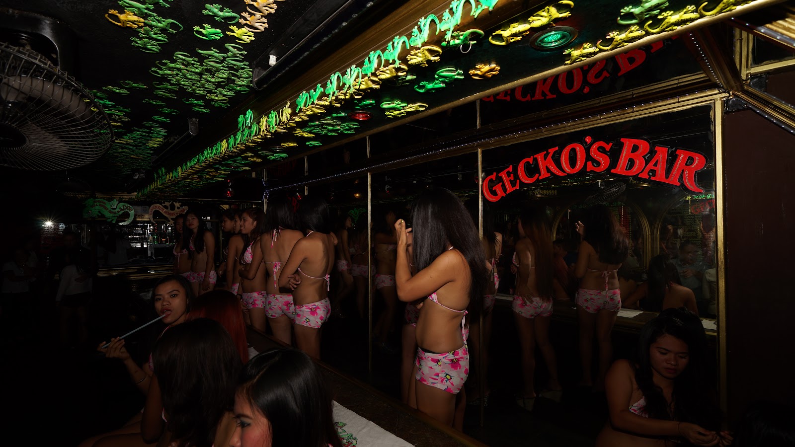 게코스 바 사진