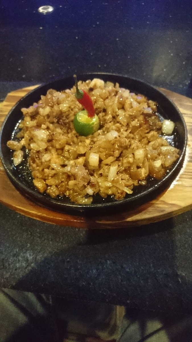 올드 클럽 사진