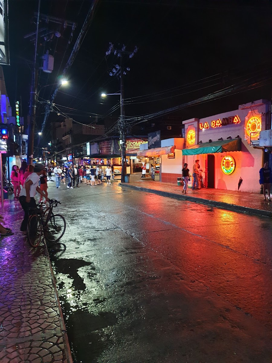 돌하우스 바 사진