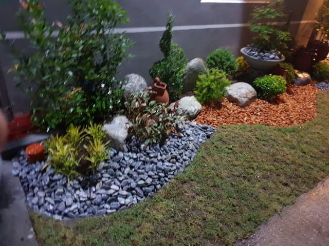 수피아 리조트 사진