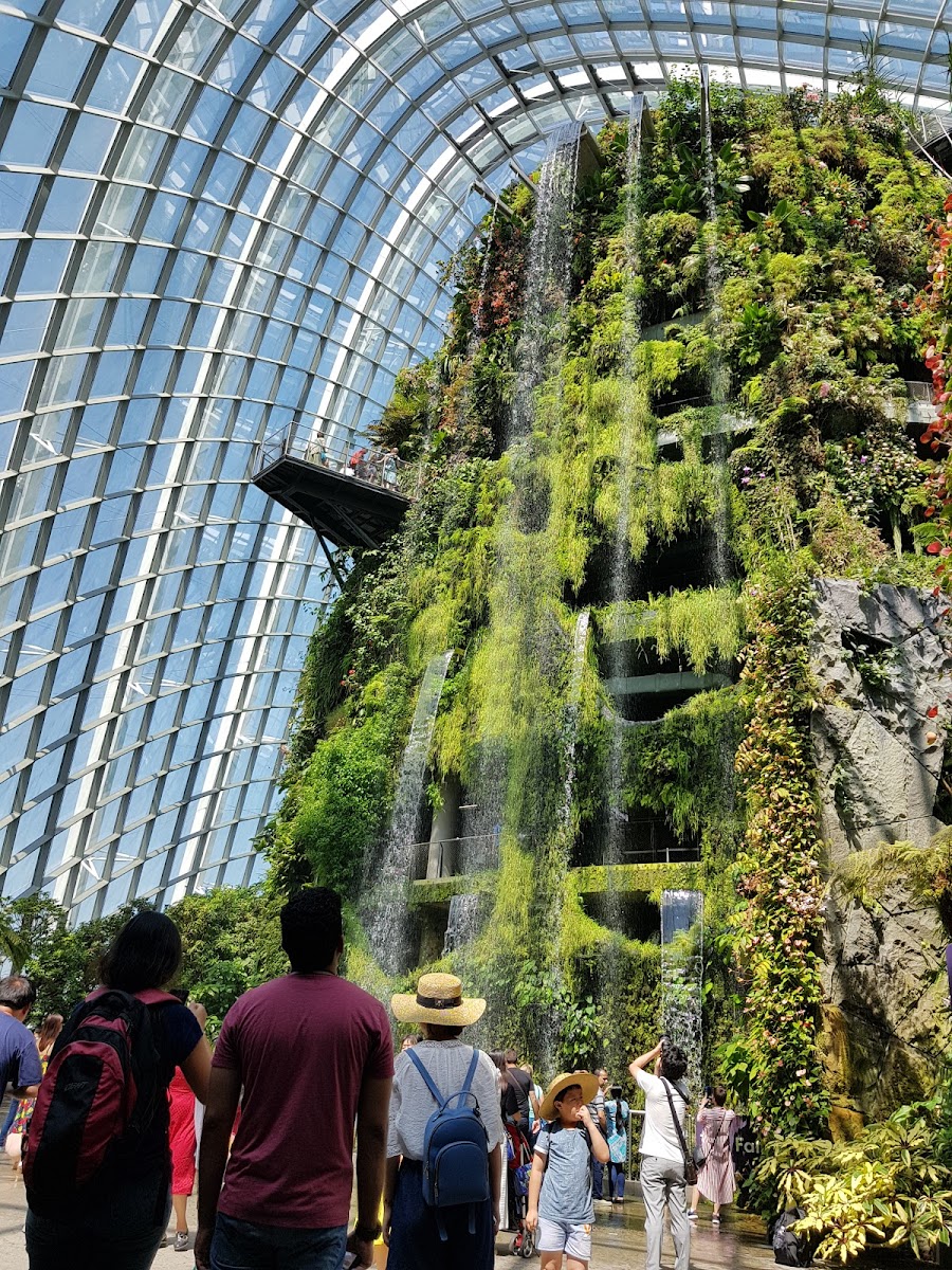 수피아 리조트 사진