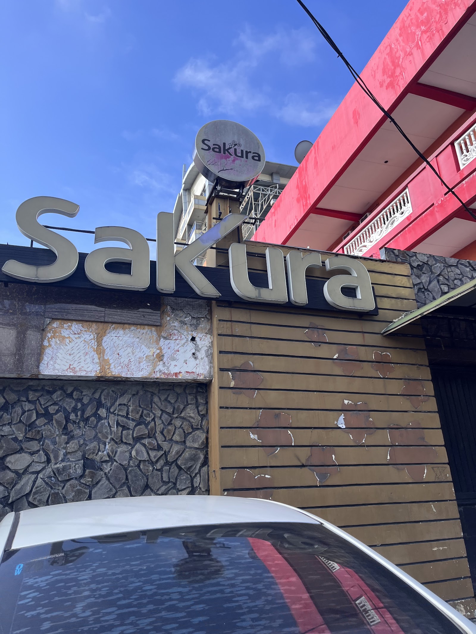 사쿠라 JTV 사진