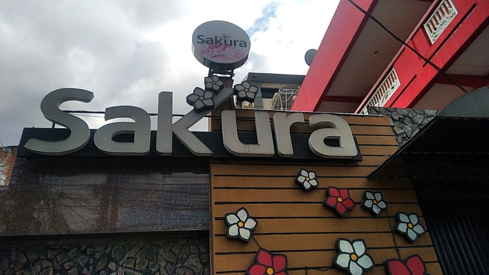 사쿠라 JTV 사진