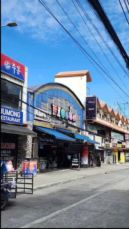 스텔라 바 사진