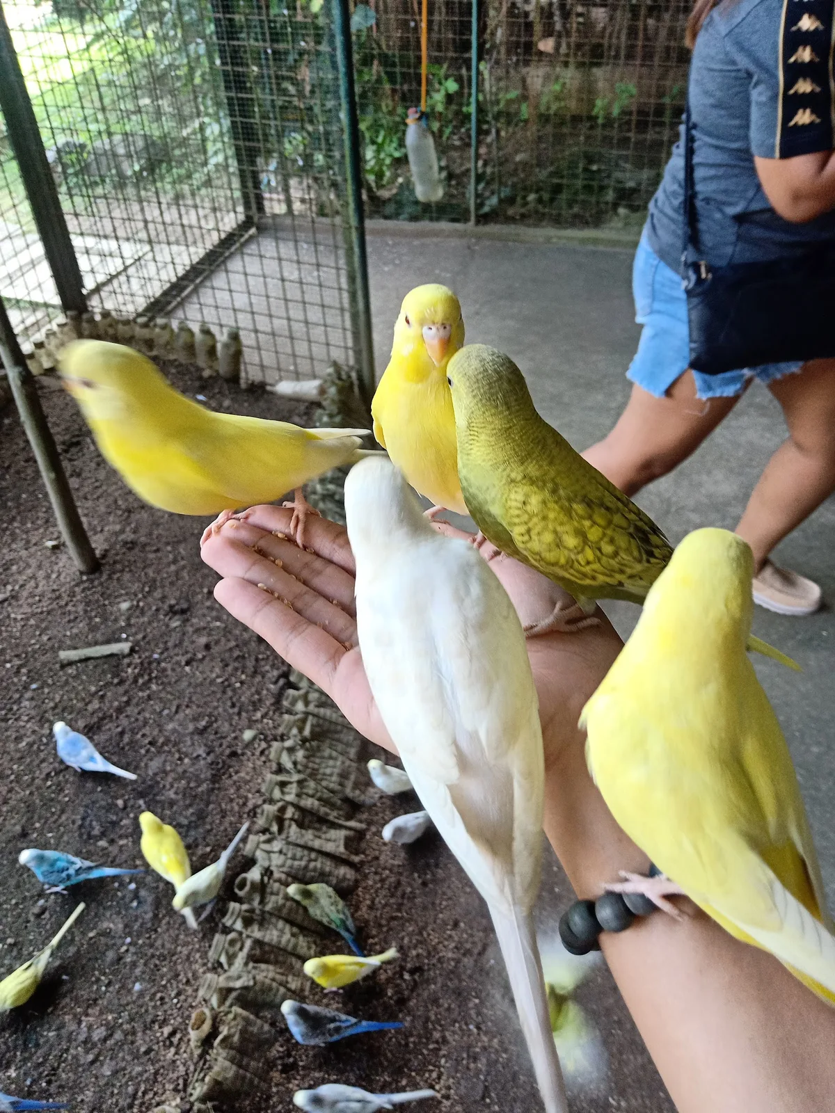 주코비아 펀 주 사진