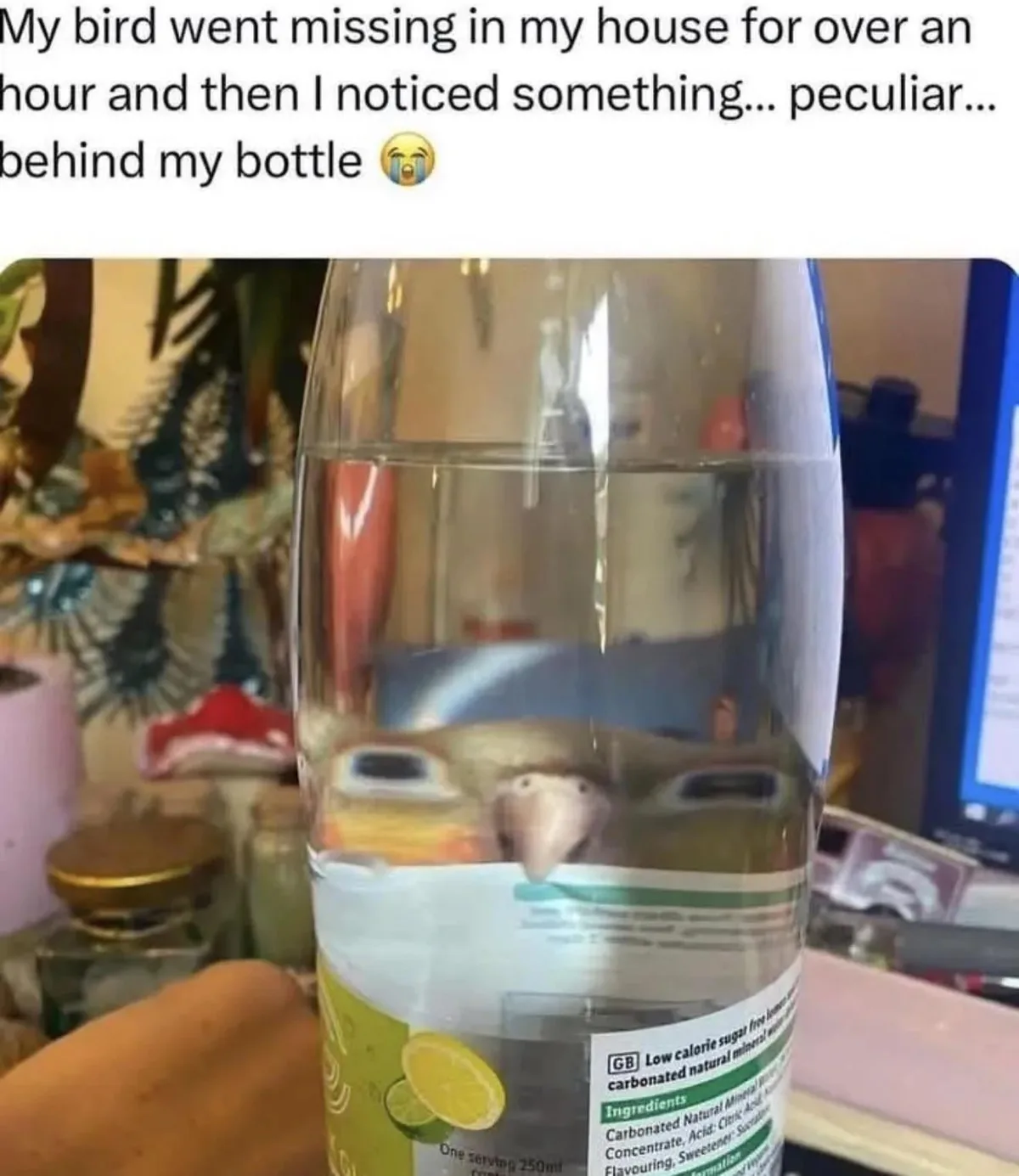 Original comment photo 1