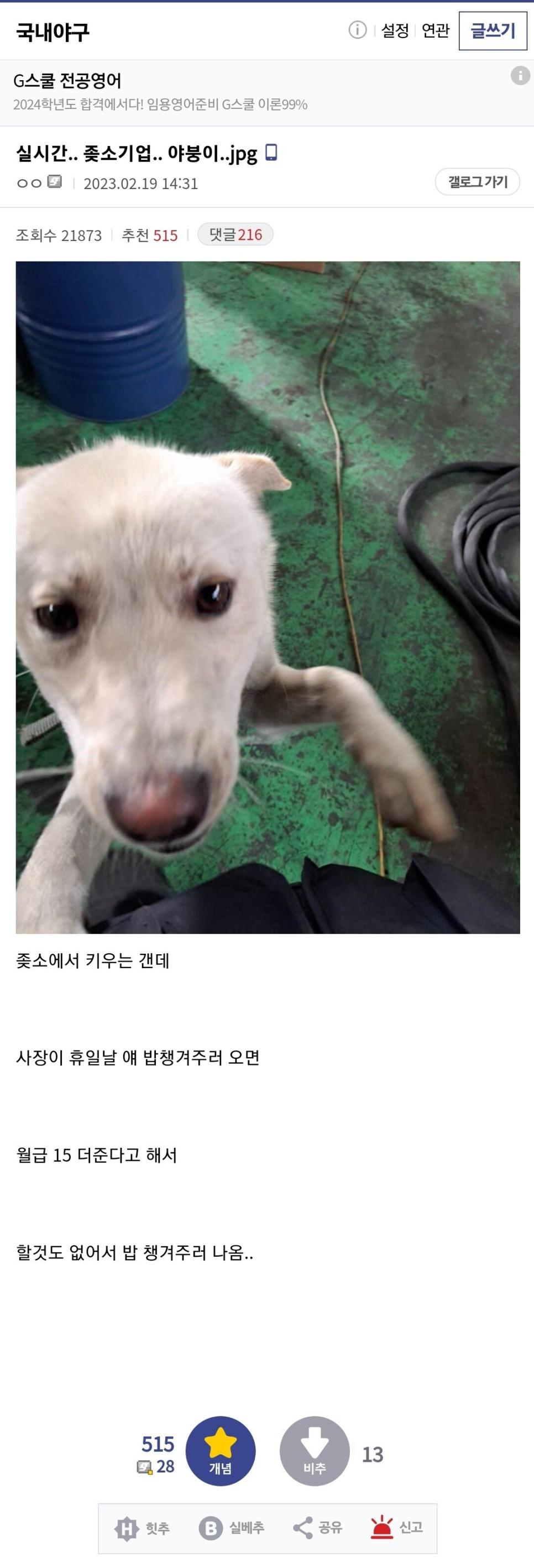 중소기업 회사원 특징